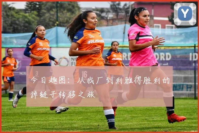 今日趣图：从我厂到利雅得胜利的掉链子转移之旅
